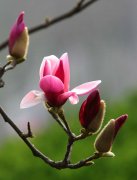 ʮʲôʮʲôʮ֪ʲô