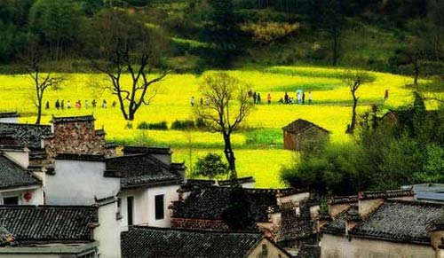 最新!上海乘高铁出游攻略 一路畅享美食胜景