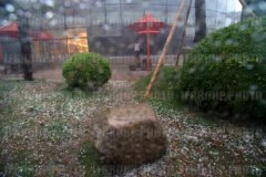 ŵϮ Ǳܽһû ųδ÷