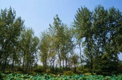 2016߿ģԪĶʽ ҵഺĶ