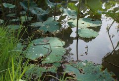 最高法49岁女法官受贿被判刑