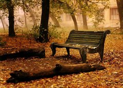 夏天告别礼,冷空气当主角,国庆晴雨交替