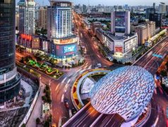 上海城市变奏曲:城市副中心,从4个变16成员大家庭