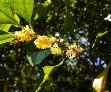 ѧ·֣ԽӰ죬󵽲˼飡