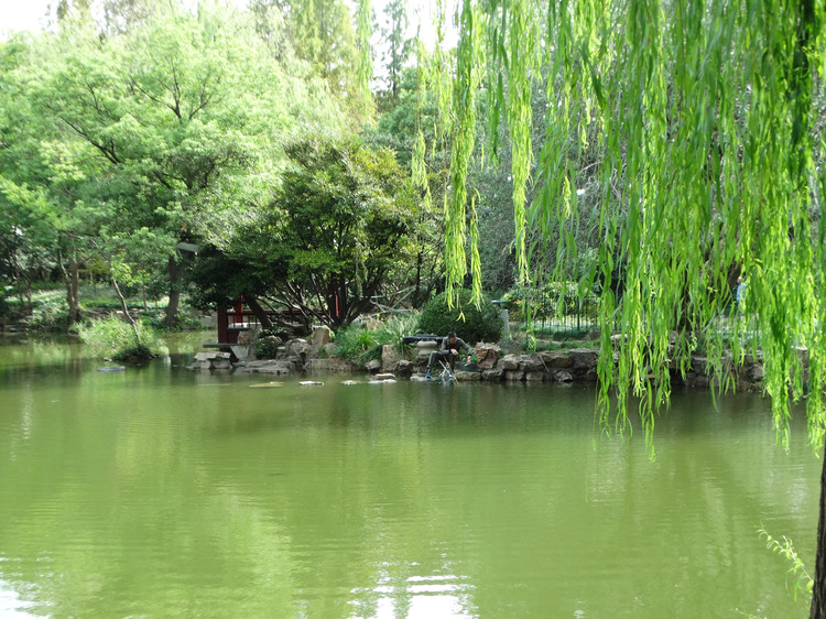 ԭϲ⿪ - ʯ - ʯƵĲ