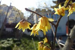 ΪʲôΰֶڣЩźţٲξˣ