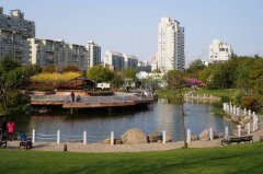 患者杀医生:丛林社会之一斑