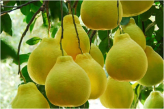 Ů˵ıݡȥ𡢽....ȫ÷