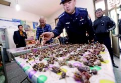 С͹ݲըȸ ɭֹͻǧֻ