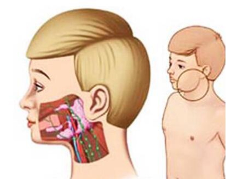 新肺炎疫苗即将上市 冬季沪上儿童疫苗接种全攻略 - 北风 - 北风入青春,荒原写人生,冰雪铸精神! 新肺炎疫苗即将上市 冬季沪上儿童疫苗接种全攻略 - 北风 - 北风入青春,荒原写人生,冰雪铸精神!