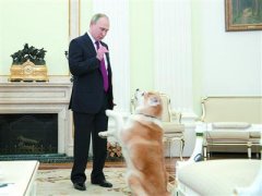 普京访日注定是“不带礼物的做客”