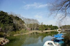 《白开水》-----做 个 闲 人