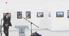 俄罗斯驻土耳其大使遇刺身亡