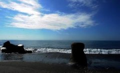 11½͸̨ݽȥͬڼ43%ڹ۹ҵܳ