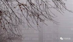 重霾下的山东父母:不等了!卖房子、准备出国