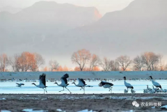 Ϊ̬ȫеףҹ״ο̬ս