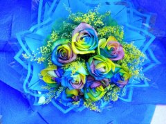 沪玫瑰价格普遍涨五成 一朵彩虹玫瑰今天开价80元