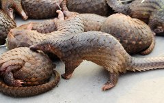 רңлɽױȴè ܶ˳Ϊҫ