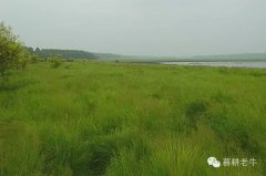 牛人牛事(连载二十一)