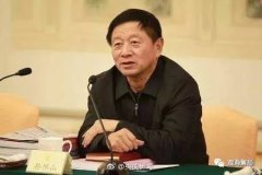 部长通道上,杨晓渡说的两会前四个落马官员是谁