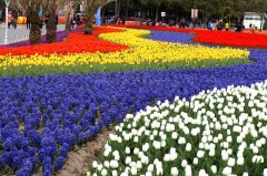 关于“张德英杯”老知青乒乓球友谊赛的报名通知