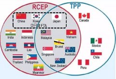 中国不当“TPP”的群主,背后的考量是这样