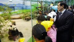 昔日司法腐败者谈“正义到来”,马英九因为泄密被起诉,小马哥到