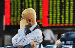 专家:吹大股市泡沫是错 救市更是彻头彻尾错误