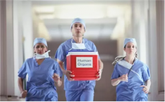 美国一15岁少年死后捐赠器官 拯救近百人