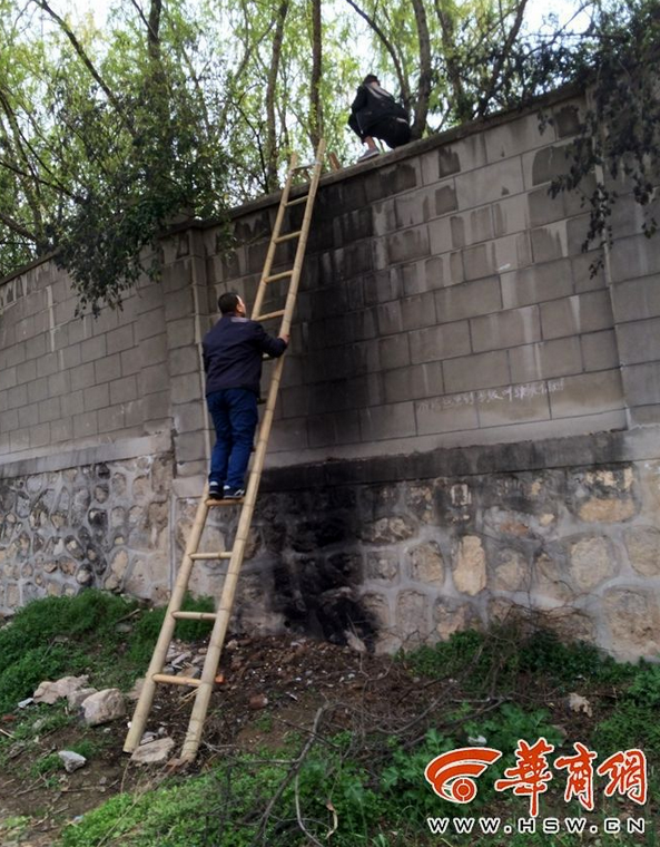 60Ԫοͷ붯԰ οȥʨ