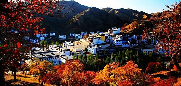 -ҺͲԭиԼĻν2017˹þĻ