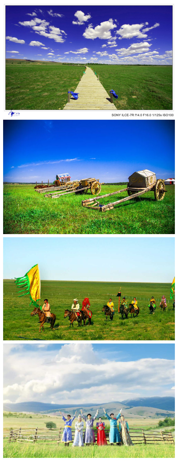 -ҺͲԭиԼĻν2017˹þĻ