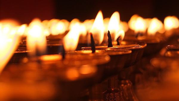 -ҺͲԭиԼĻν2017˹þĻ