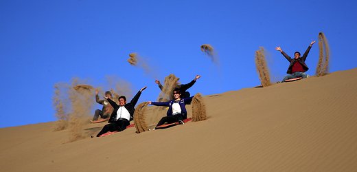 -ҺͲԭиԼĻν2017˹þĻ