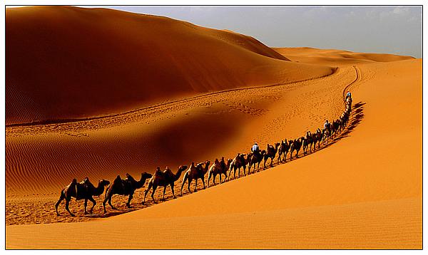 -ҺͲԭиԼĻν2017˹þĻ