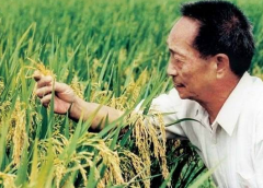 Ԭ¡ƽ͸¶½չ17/ оųɰ