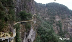 明月山专列游断想