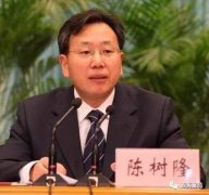 中纪委320字通报陈树隆违纪问题:比苏荣令计划都多