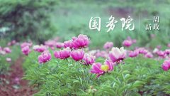 国务院一周新政,别错过