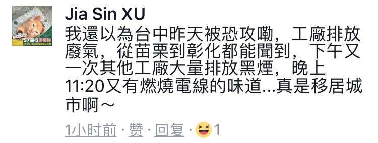 1494077960532647.jpg 6.jpg