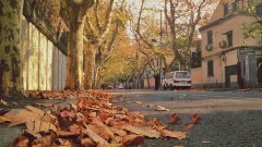 【解码上海新五年②】有温度的上海,最适宜的是“几度”?