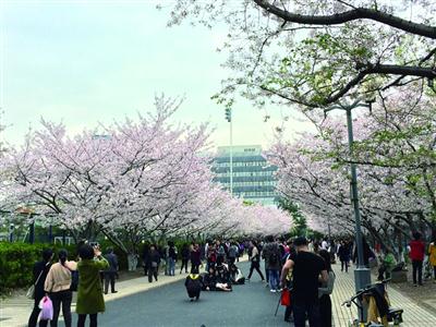 上海高校食堂数同济最多 大学那段青春往往是围绕吃展开