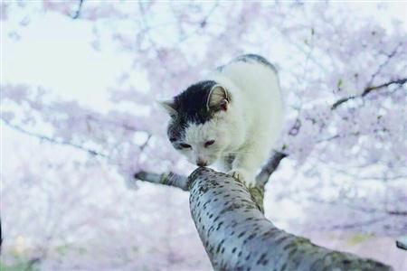 上海高校食堂数同济最多 大学那段青春往往是围绕吃展开