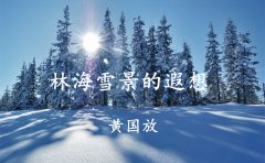 林海雪原的遐想