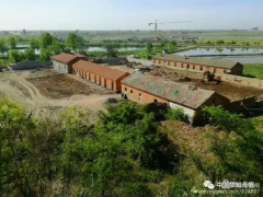 ֮,һ һһеĵ֪Ļ԰ǽ