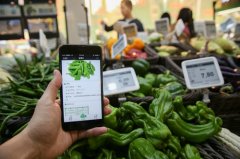 日媒称中国智能手机发展速度远超日本:便利程度超乎想象