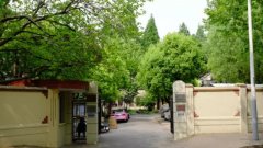 复旦“村庄”:留下优雅的文人背影