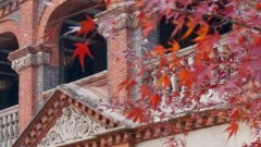 上海被平移的老建筑竟然有一打,新生之后更值得看了