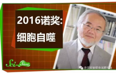 ٹȶʳ,ƾʲôܹŵҽѧ