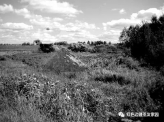 一位父亲来北大荒给知青女儿扫墓,难忘他的悲伤!